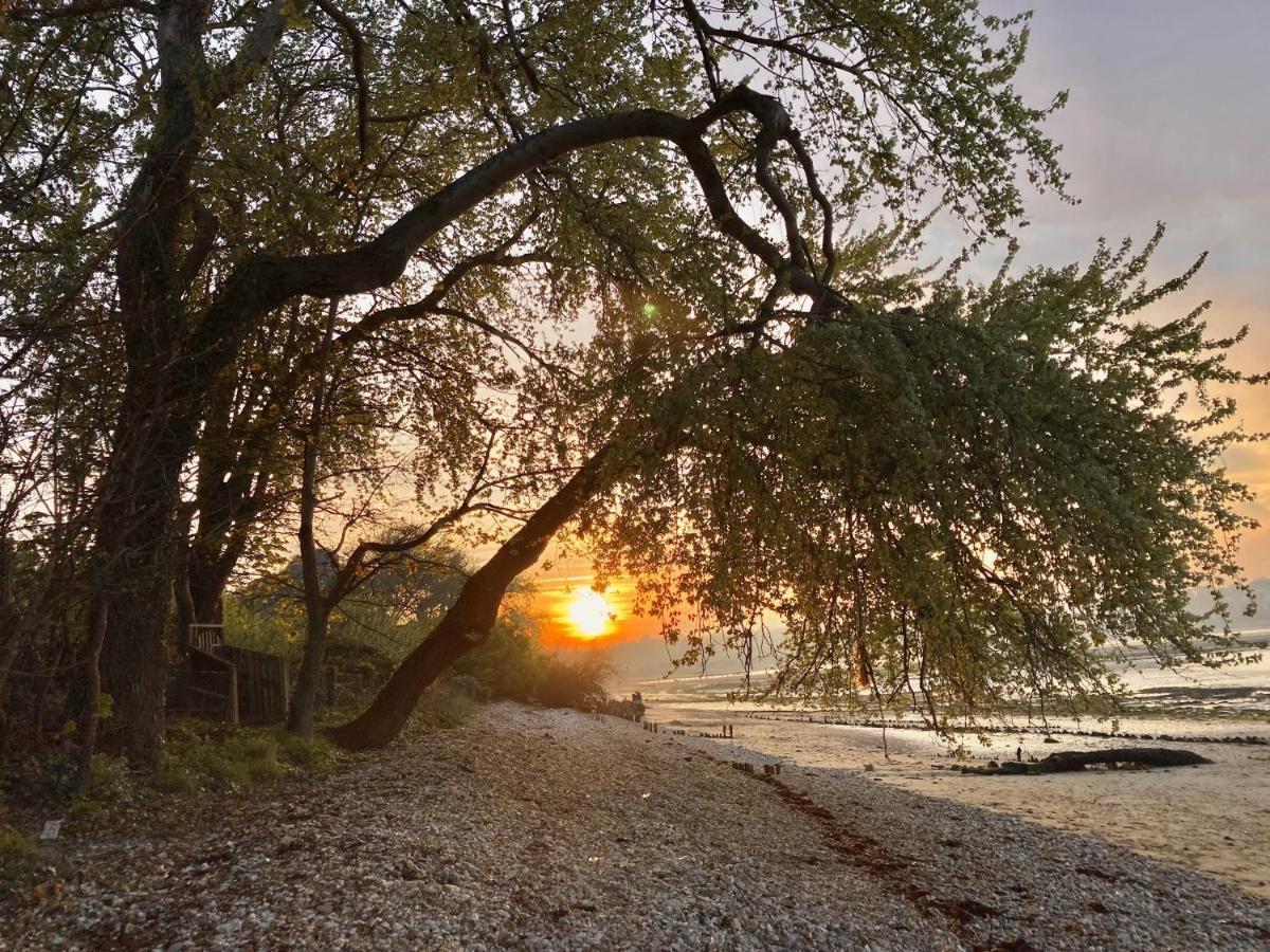 12A Solent Landing Direct Beach Access بيمبريدج المظهر الخارجي الصورة